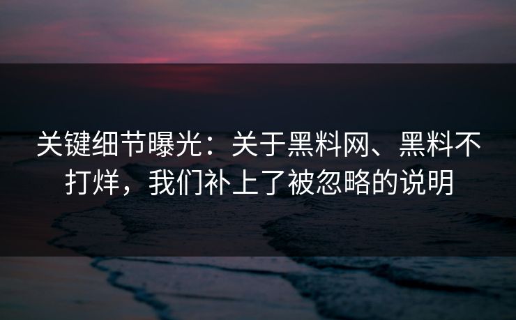 关键细节曝光：关于黑料网、黑料不打烊，我们补上了被忽略的说明
