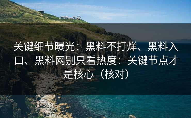 关键细节曝光：黑料不打烊、黑料入口、黑料网别只看热度：关键节点才是核心（核对）