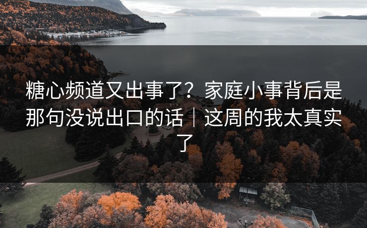 糖心频道又出事了？家庭小事背后是那句没说出口的话｜这周的我太真实了