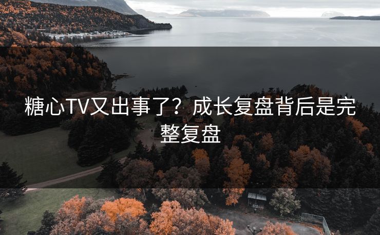 糖心TV又出事了？成长复盘背后是完整复盘