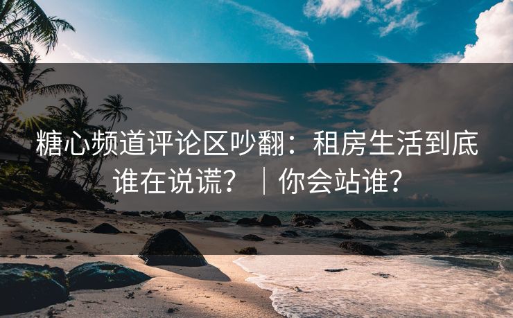 糖心频道评论区吵翻：租房生活到底谁在说谎？｜你会站谁？