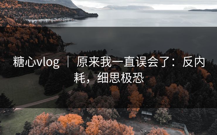 糖心vlog ｜ 原来我一直误会了：反内耗，细思极恐