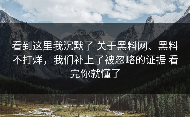 看到这里我沉默了 关于黑料网、黑料不打烊，我们补上了被忽略的证据 看完你就懂了