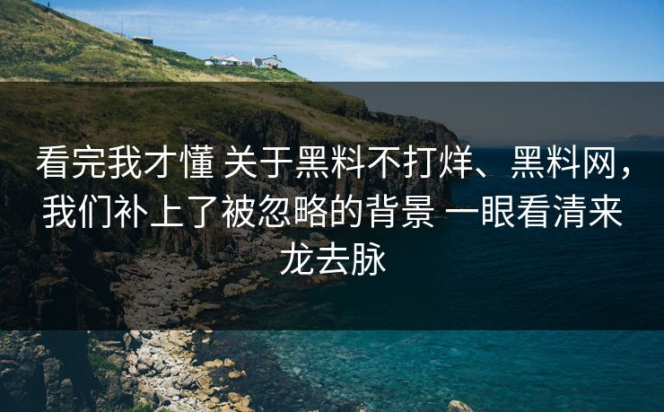 看完我才懂 关于黑料不打烊、黑料网，我们补上了被忽略的背景 一眼看清来龙去脉