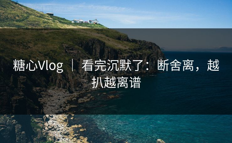 糖心Vlog ｜ 看完沉默了：断舍离，越扒越离谱