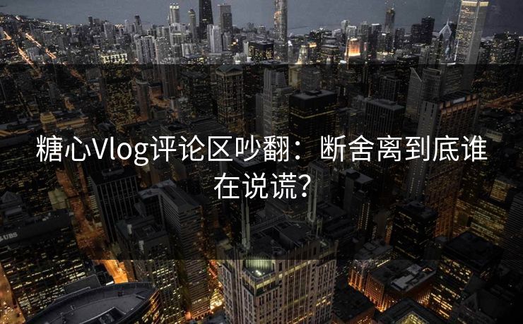 糖心Vlog评论区吵翻：断舍离到底谁在说谎？