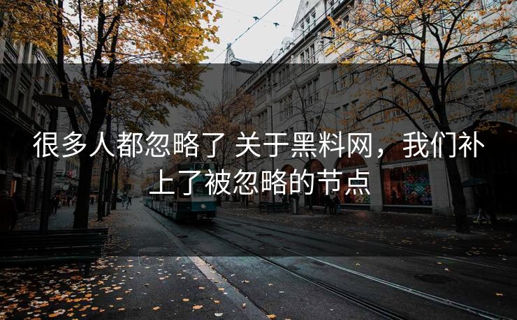 很多人都忽略了 关于黑料网，我们补上了被忽略的节点