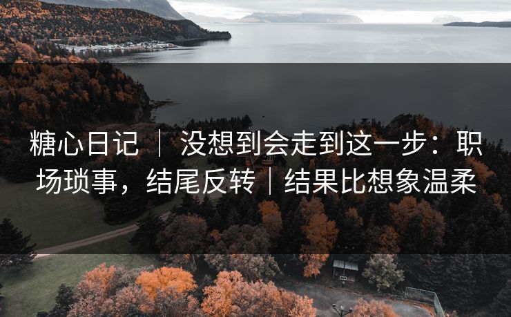 糖心日记 ｜ 没想到会走到这一步：职场琐事，结尾反转｜结果比想象温柔